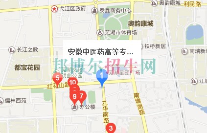 安徽中醫藥高等?？茖W校