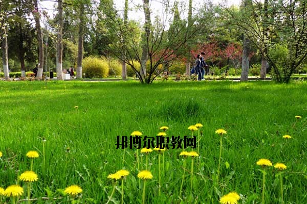 雙江縣職教中心2020年報名條件、招生要求、招生對象