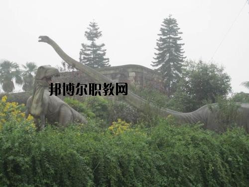 自貢三星職業(yè)技術(shù)學(xué)校2020年報(bào)名條件、招生要求、招生對(duì)象