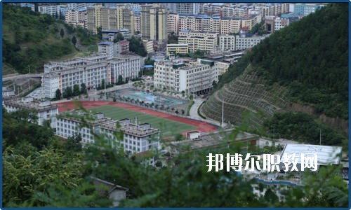 廣元朝天職業(yè)中學(xué)2020年報(bào)名條件、招生要求、招生對(duì)象