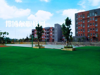 榮縣金科職業(yè)技術(shù)學校2021年招生錄取分數(shù)線