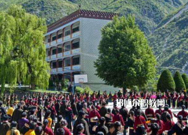 四川省藏文學(xué)校2022年報名條件、招生要求、招生對象