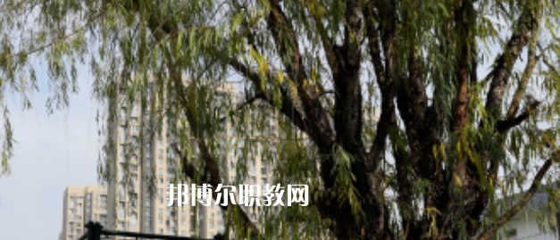 2023西安東方藝術(shù)職業(yè)學(xué)校多少錢(qián) 西安東方藝術(shù)職業(yè)學(xué)校各專業(yè)學(xué)費(fèi)收費(fèi)標(biāo)準(zhǔn)