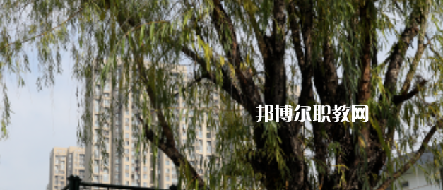 西安東方藝術職業學校地址在哪里，哪個地區，哪個城市?