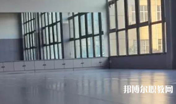 2023秦皇島市藝新舞蹈學校招生計劃 招生人數是多少(附要求、條件、對象)